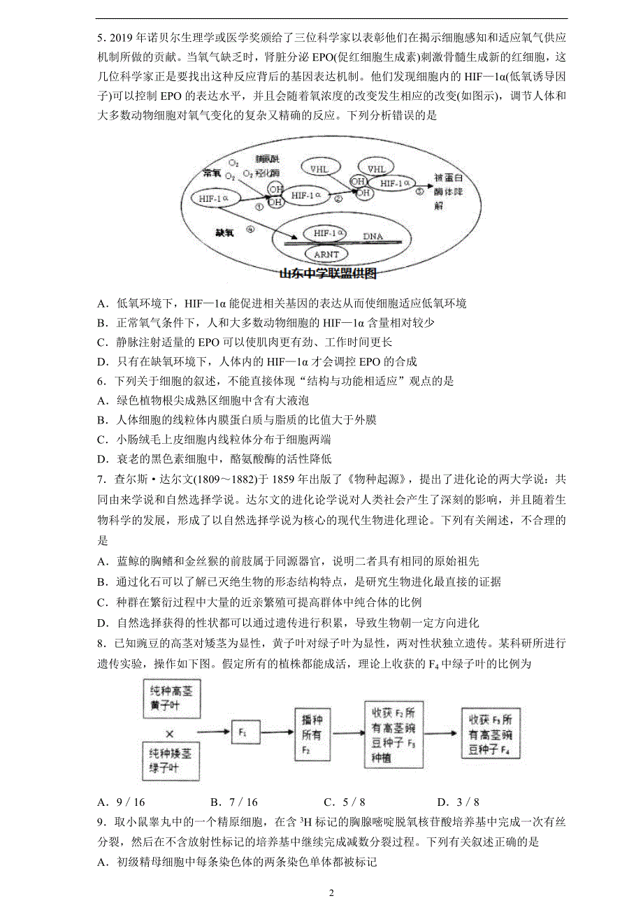 生物（中学联盟）青岛市2020届高三4月份开学后一模考试_第2页