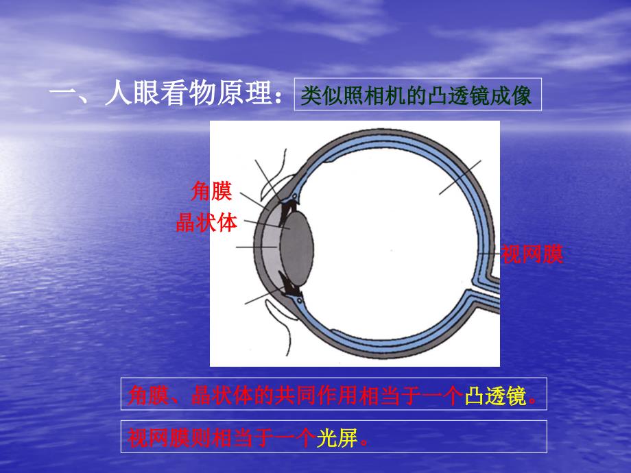 54眼睛和眼镜课件_第2页