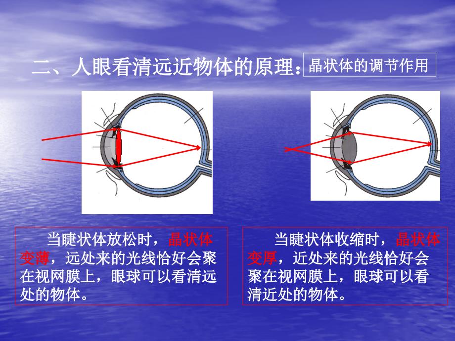 54眼睛和眼镜课件_第4页