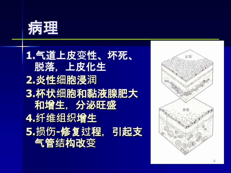 慢支慢阻肺（内科学第八版）课件_第4页