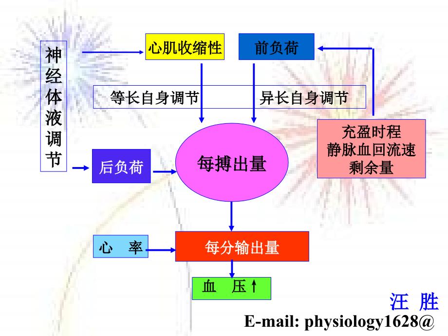 人体解剖生理学循环_第1页