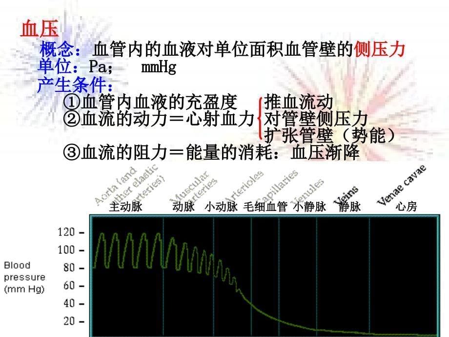 人体解剖生理学循环_第5页