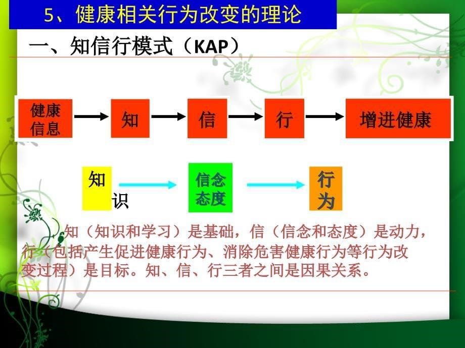 第六章-健康教育与健康促进的原理和方法-二-课件_第5页