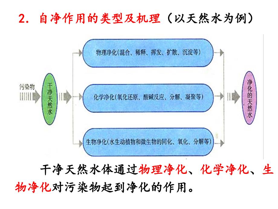 高中地理水污染及其成因课件4_第3页