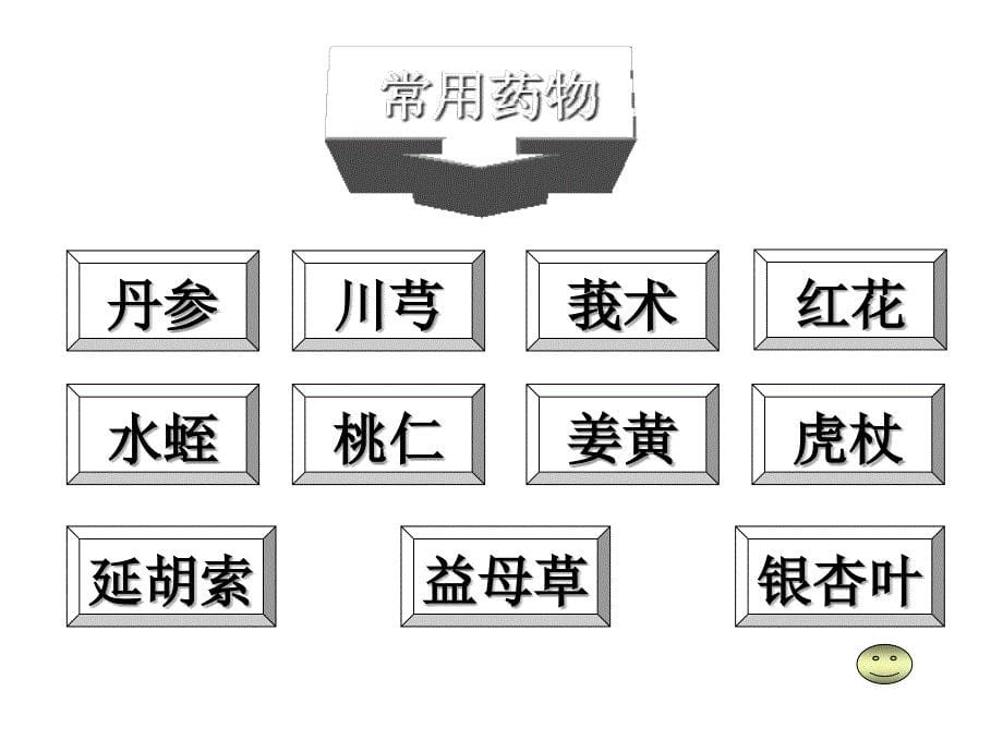 活血化瘀药模板_第5页