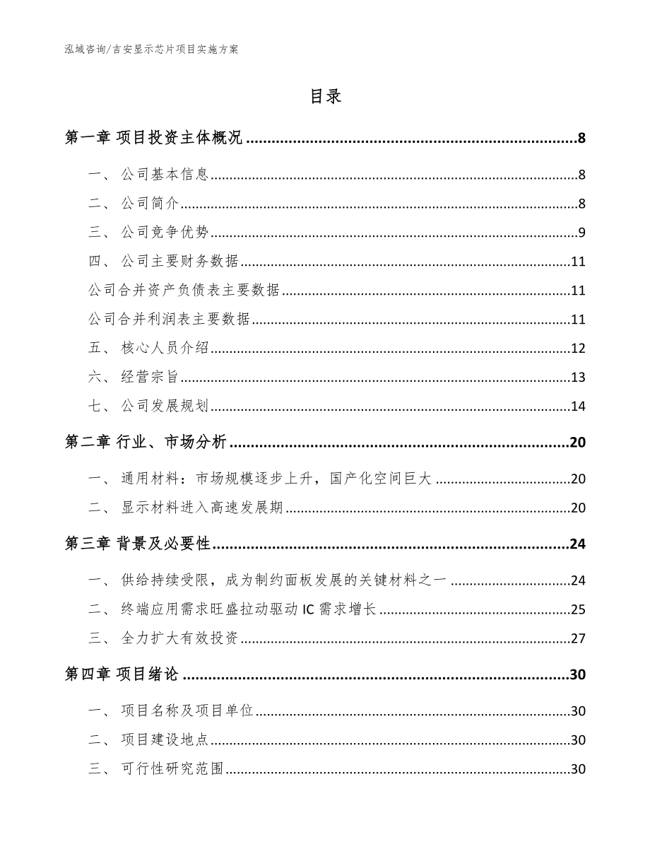 吉安显示芯片项目实施方案模板_第2页