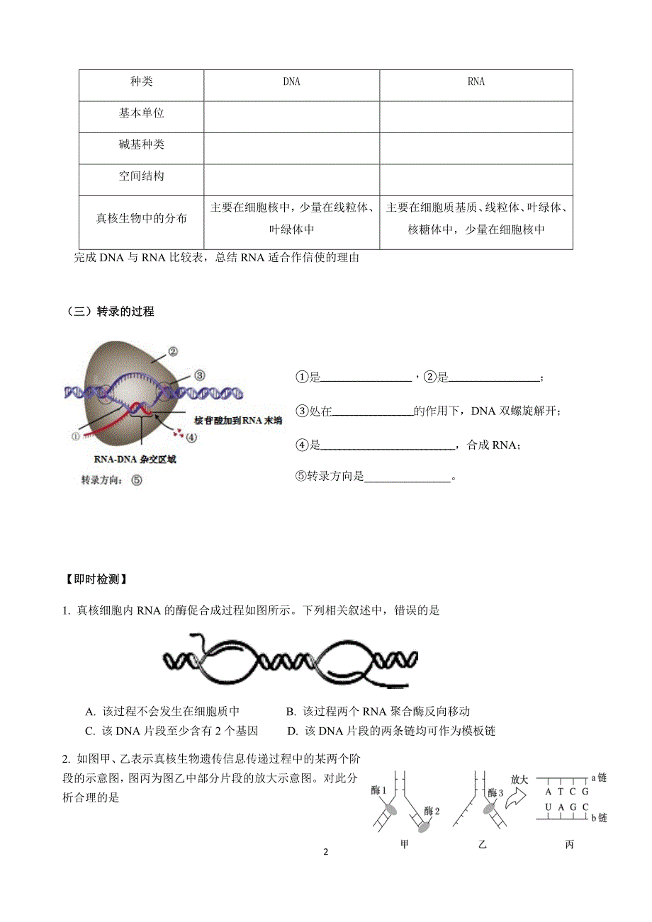 遗传信息的转录和翻译.docx_第2页