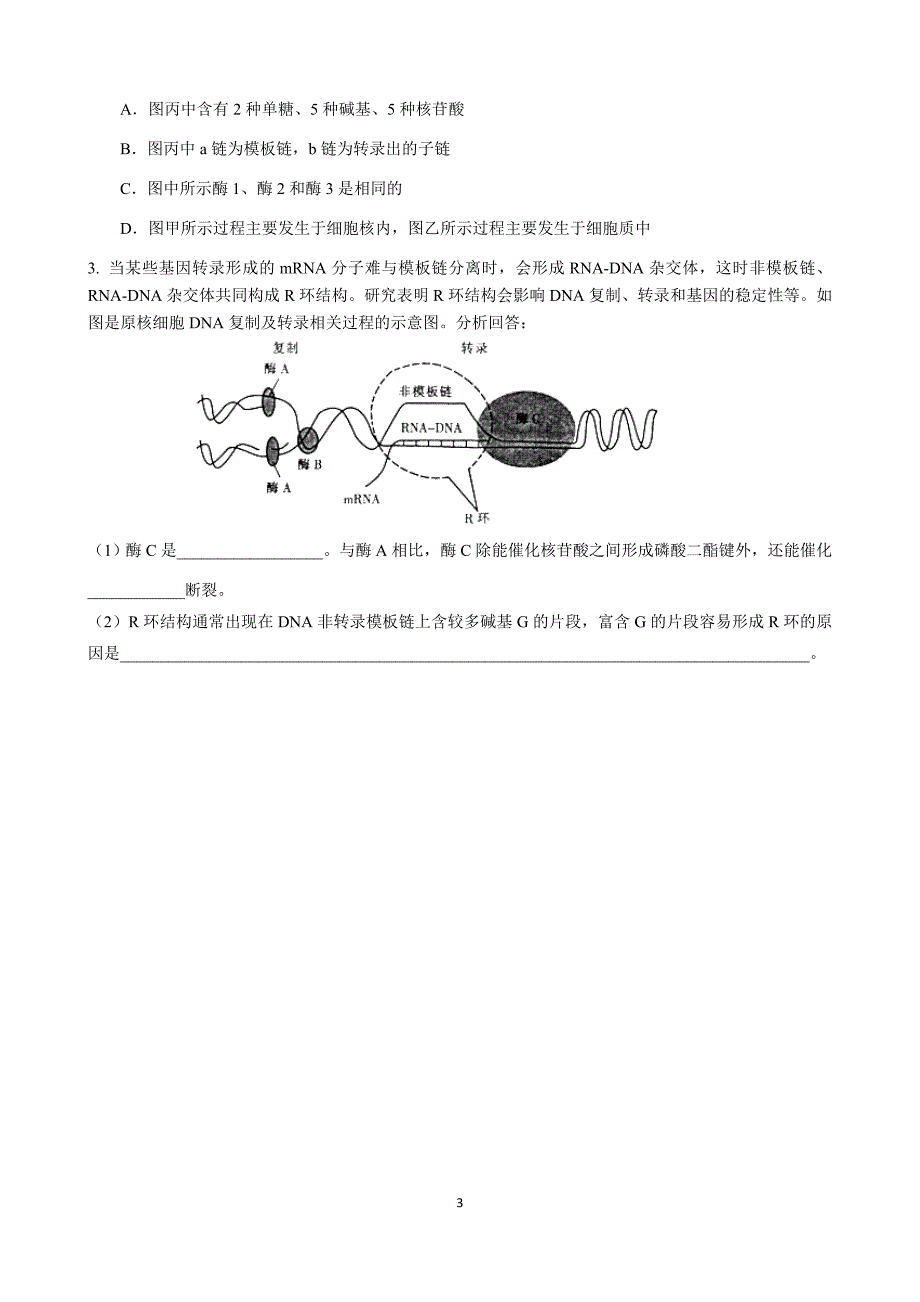 遗传信息的转录和翻译.docx_第3页