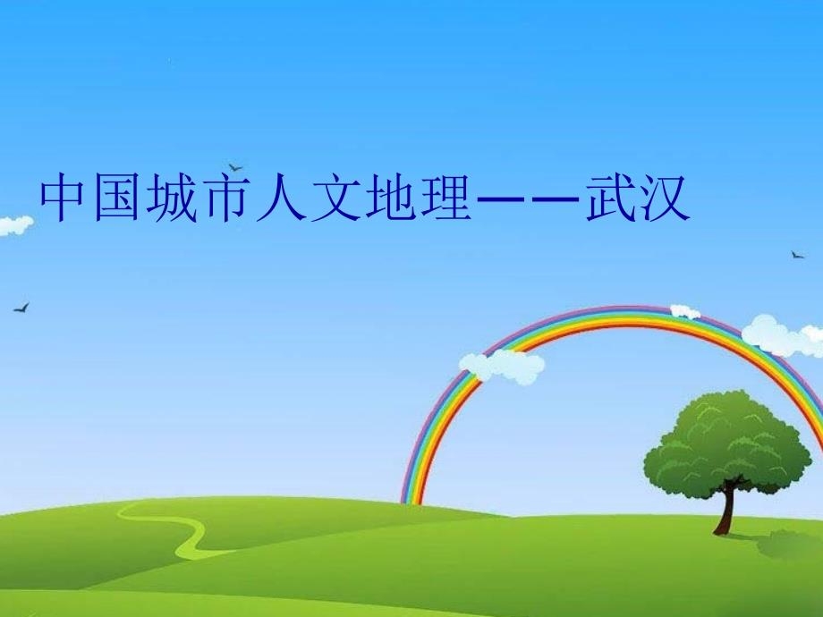 中国城市人文地理——武汉复习进程_第1页
