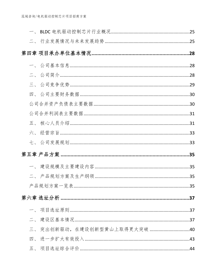 电机驱动控制芯片项目招商方案_第2页