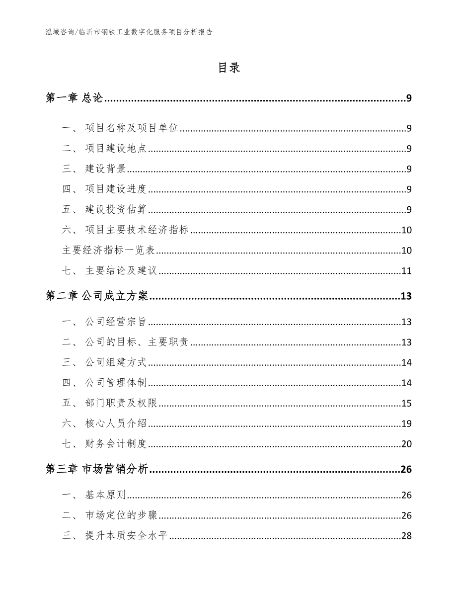 临沂市钢铁工业数字化服务项目分析报告_参考模板_第2页