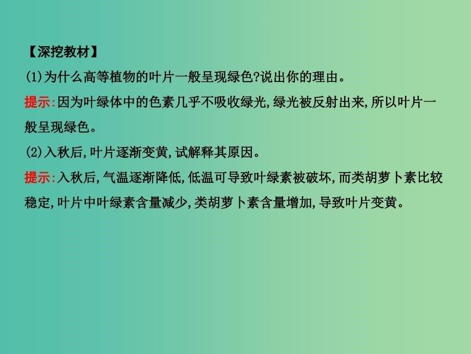 高中生物第三单元细胞的能量供应和利用第10讲光合作用课件.ppt_第5页