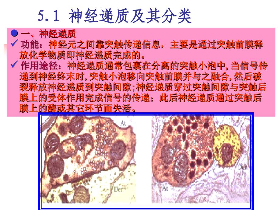 神经递质和神经调质_第2页