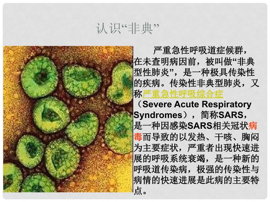 云南省麻栗坡县八年级生物上册《18.1 传染病》课件 苏教版_第3页