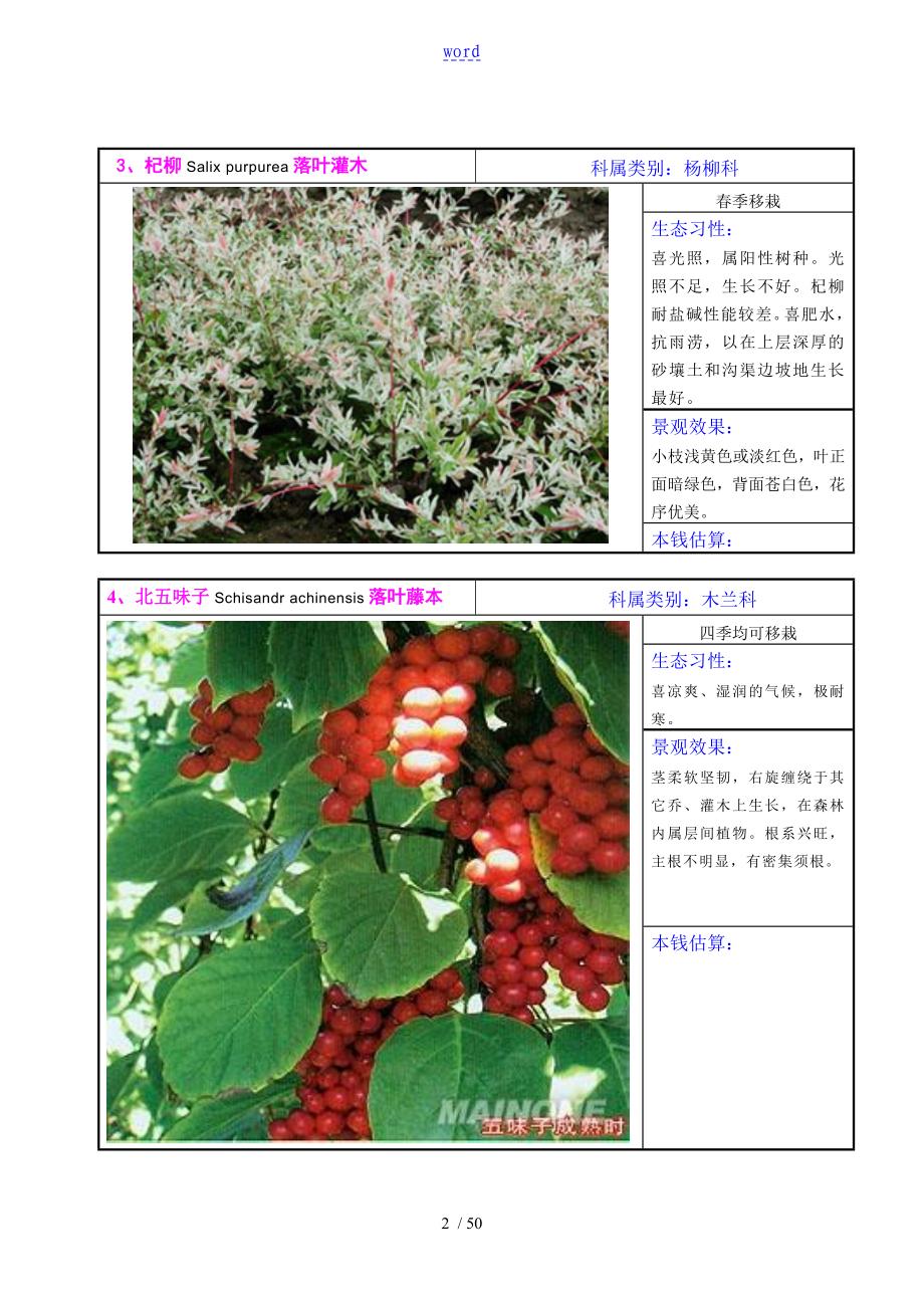 00东北植物参考图谱(灌木、地被)_第2页