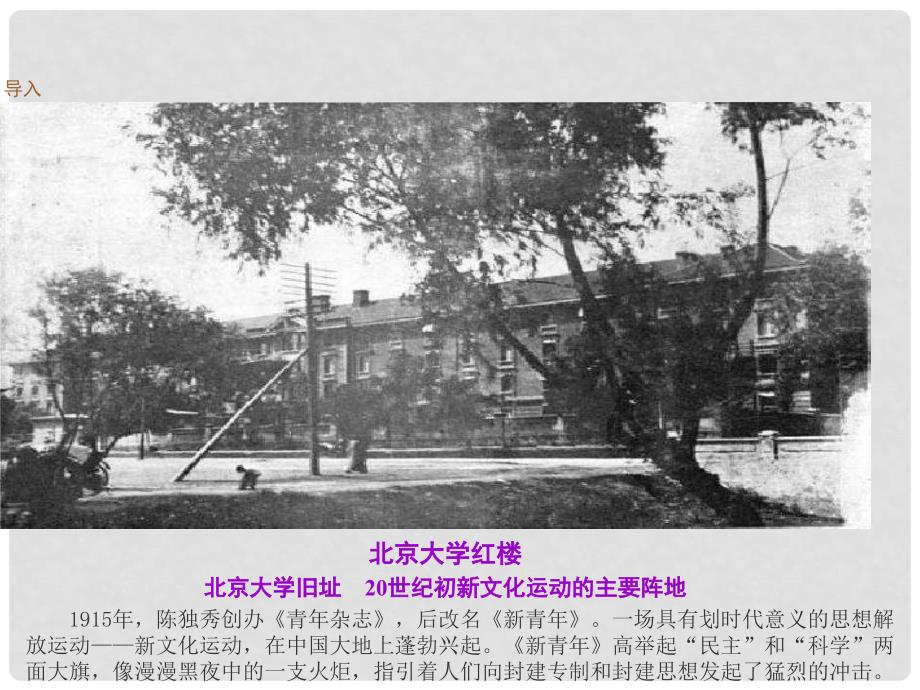 河南省三门峡市卢氏县育英中学八年级历史《中国近代新文化运动》课件_第2页