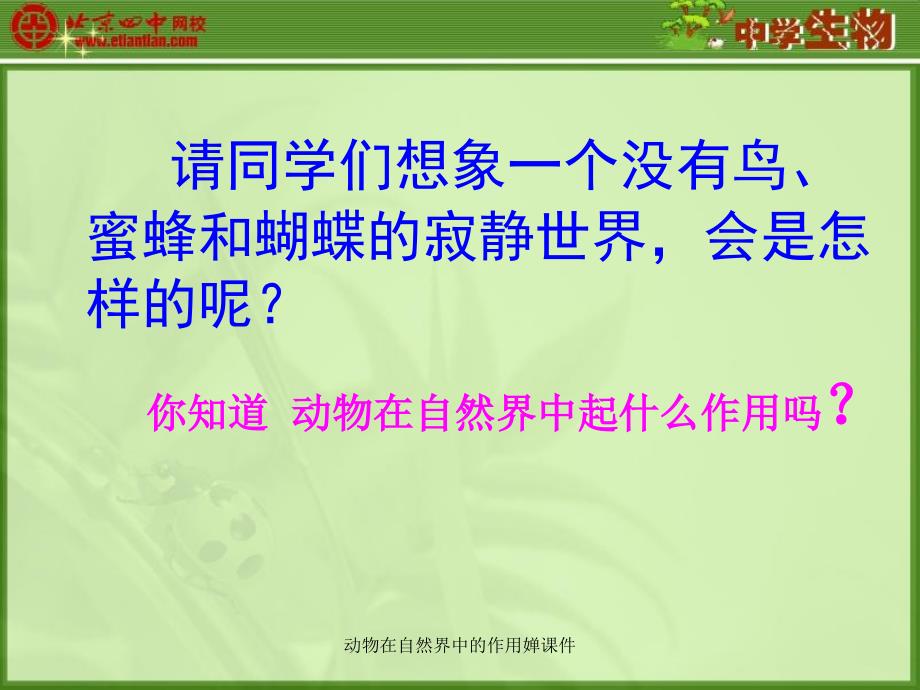 动物在自然界中的作用婵课件_第4页