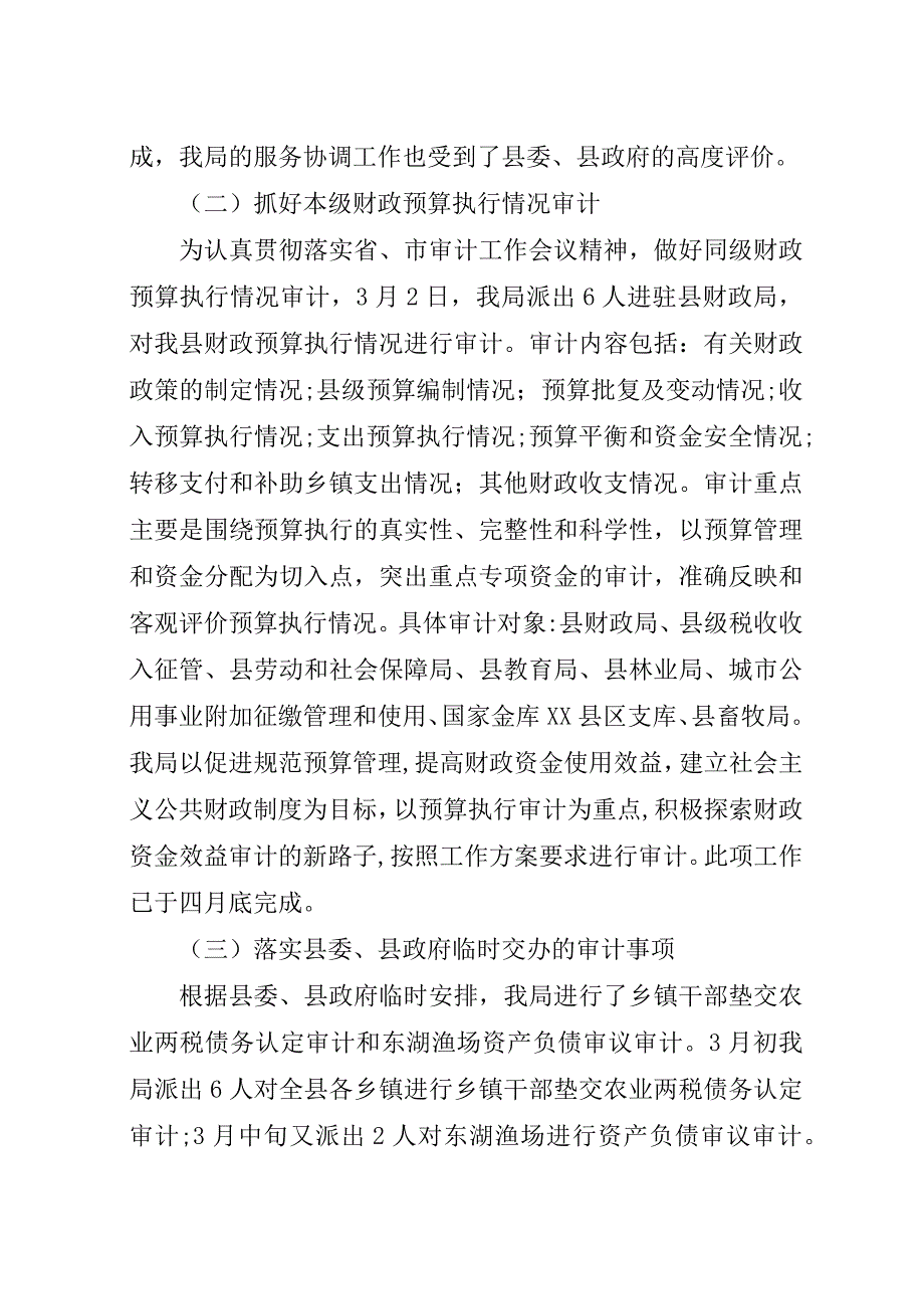 审计局上半年度工作总结.docx_第3页