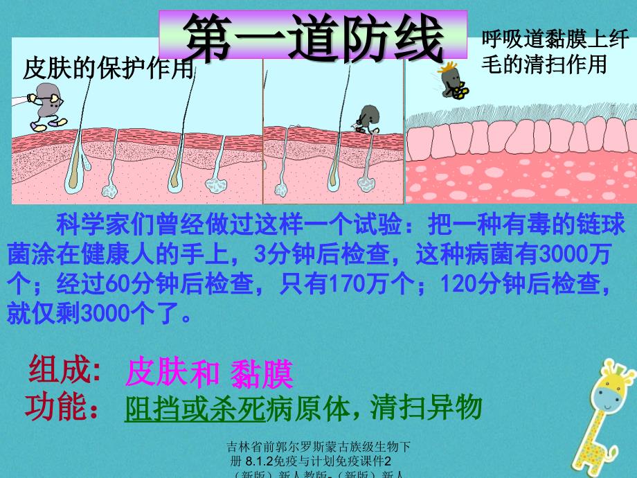 最新吉林省前郭尔罗斯蒙古族级生物下册8.1.2免疫与计划免疫课件2新版新人教版新版新人教级下册生物课件_第4页