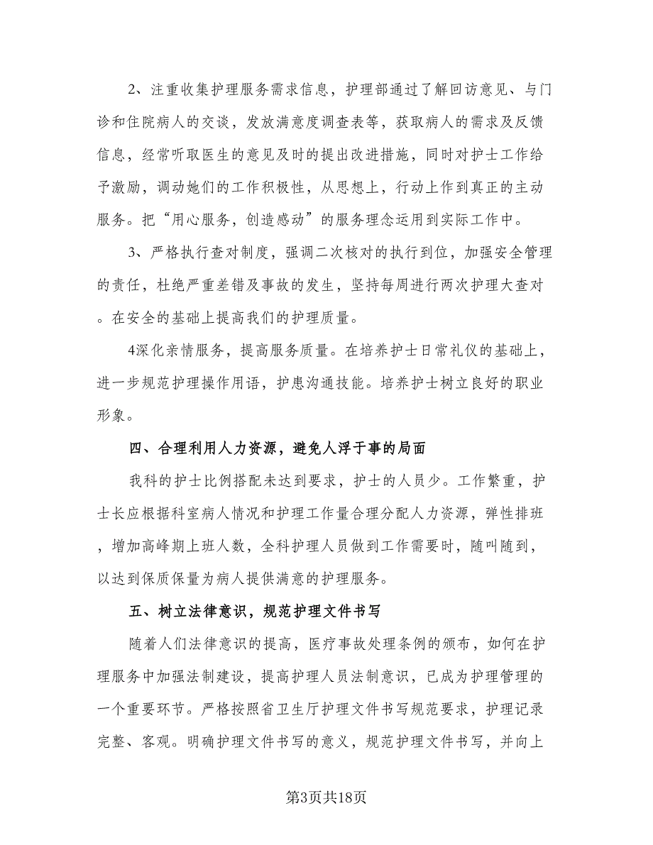 2023年医院护理部工作计划标准范本（3篇）.doc_第3页