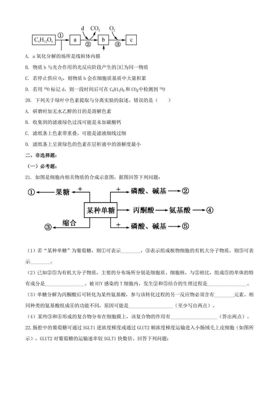 广西北海市2020-2021学年高二生物下学期期末教学质量检测试题_第5页