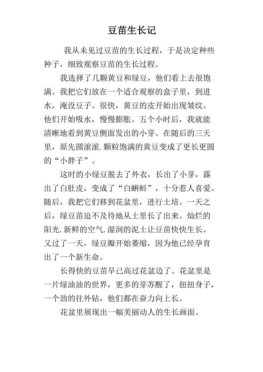 豆苗生长记_第1页