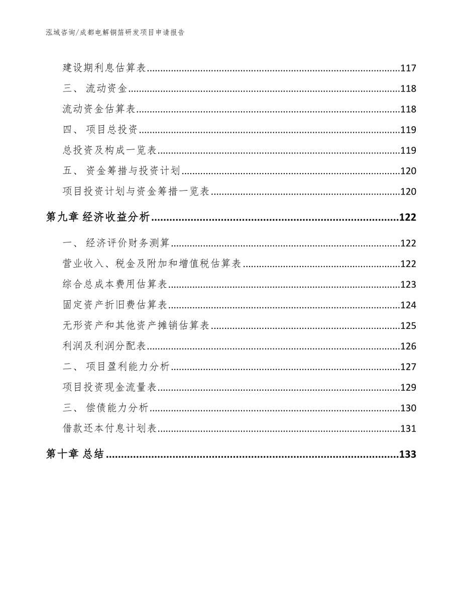 成都电解铜箔研发项目申请报告_第5页