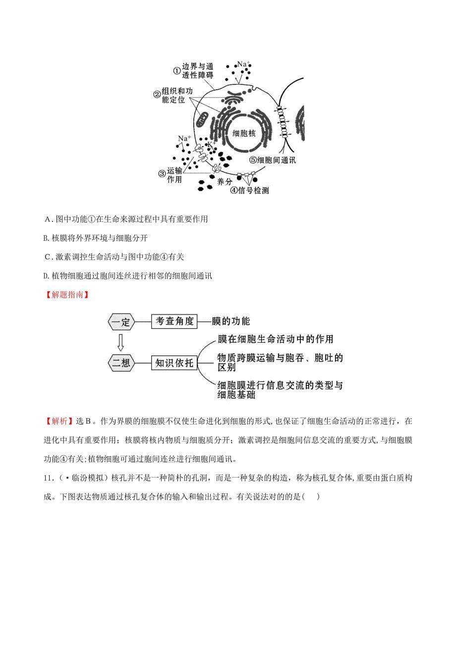 高三生物第一轮复习--第1、3节-细胞膜-系统的边界-细胞核-系统的控制中心练习-新人教版必修1_第5页