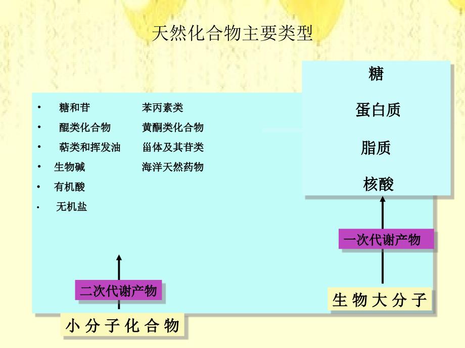 天然化合物主要类型综述_第4页