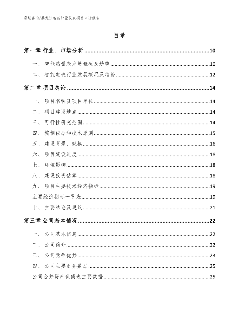 黑龙江智能计量仪表项目申请报告【模板参考】_第2页