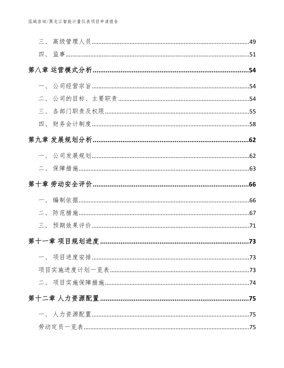 黑龙江智能计量仪表项目申请报告【模板参考】_第4页