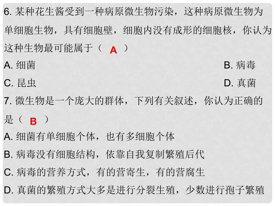 中考生物总复习 专题十 细菌、真菌和病毒课件_第4页