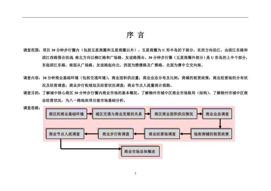 7月柳州五星商圈商业市调报告39DOC_第3页