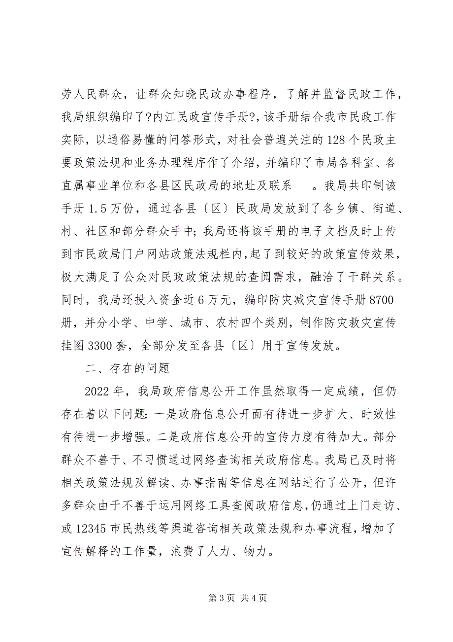 2023年民政局信息公开工作总结.docx_第3页