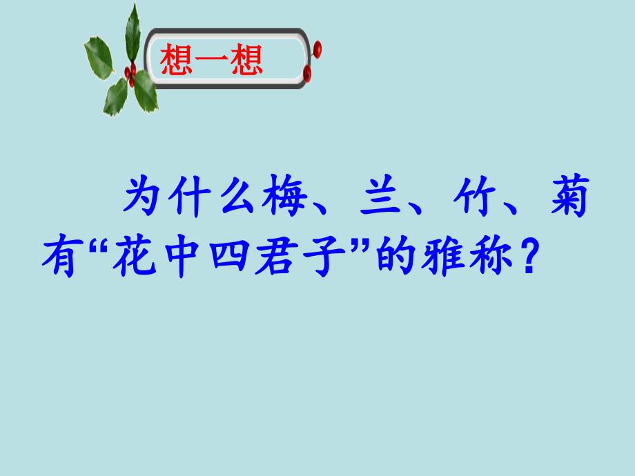 高中主题班会活动--生命如花课件_第4页