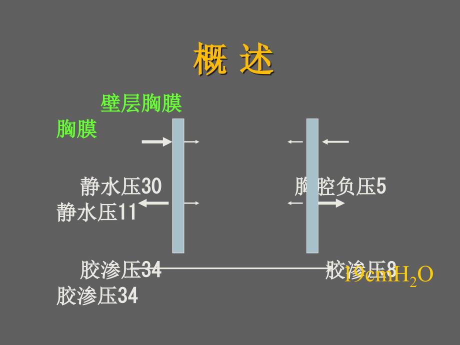 胸腔积液的诊断和处理_第4页