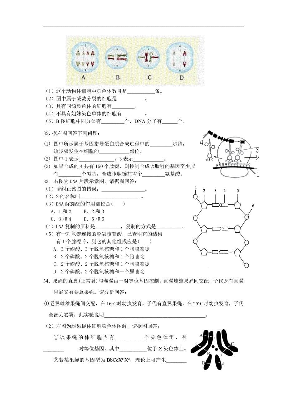 信阳市2010-2011年度高一下学期期末考试题.doc_第5页