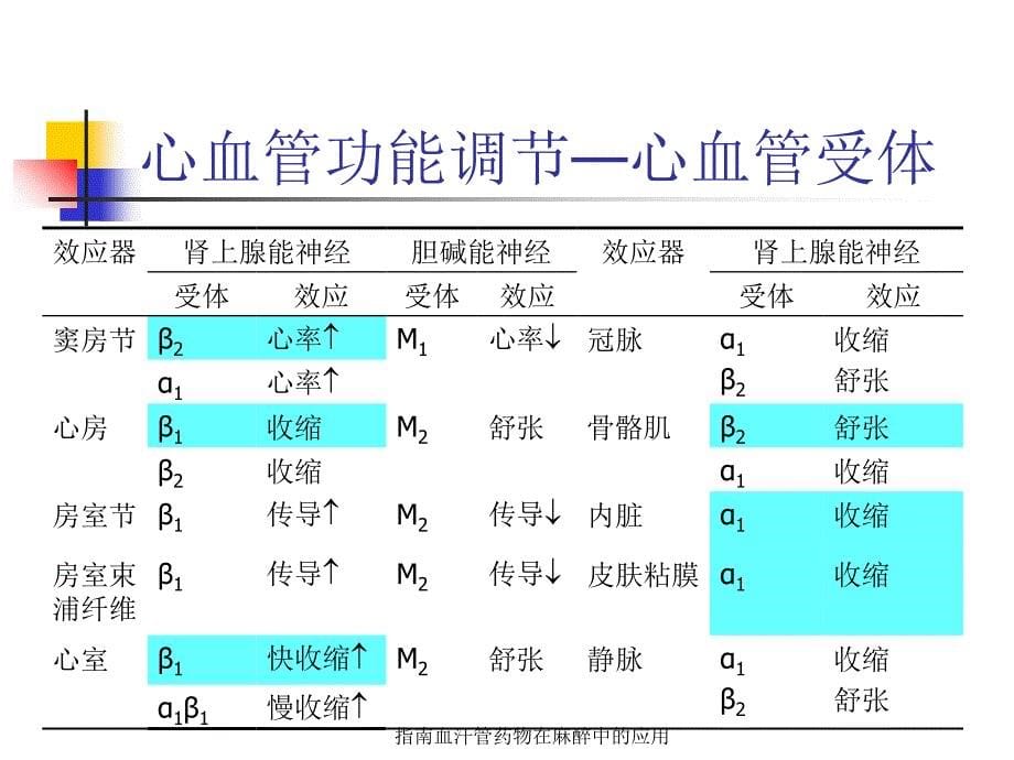 指南血汗管药物在麻醉中的应用课件_第5页