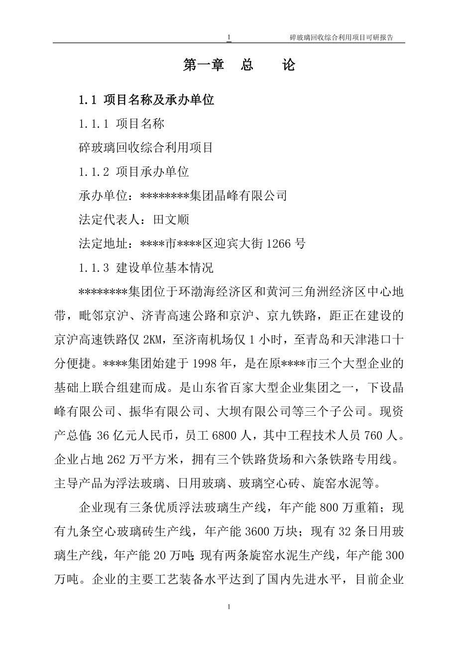 碎玻璃回收综合利用项目可行性研究报告书-word版本.doc_第1页