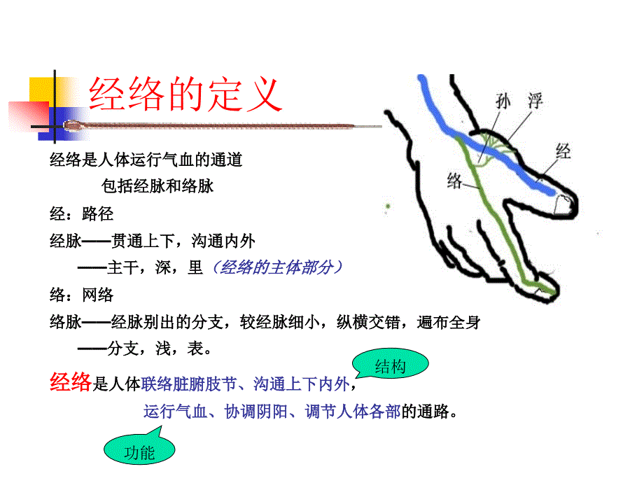 经络总论针灸学课件南京中医药大学_第2页