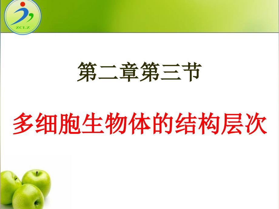 济南版七年级上册生物多细胞生物体的结构层次课件_第3页