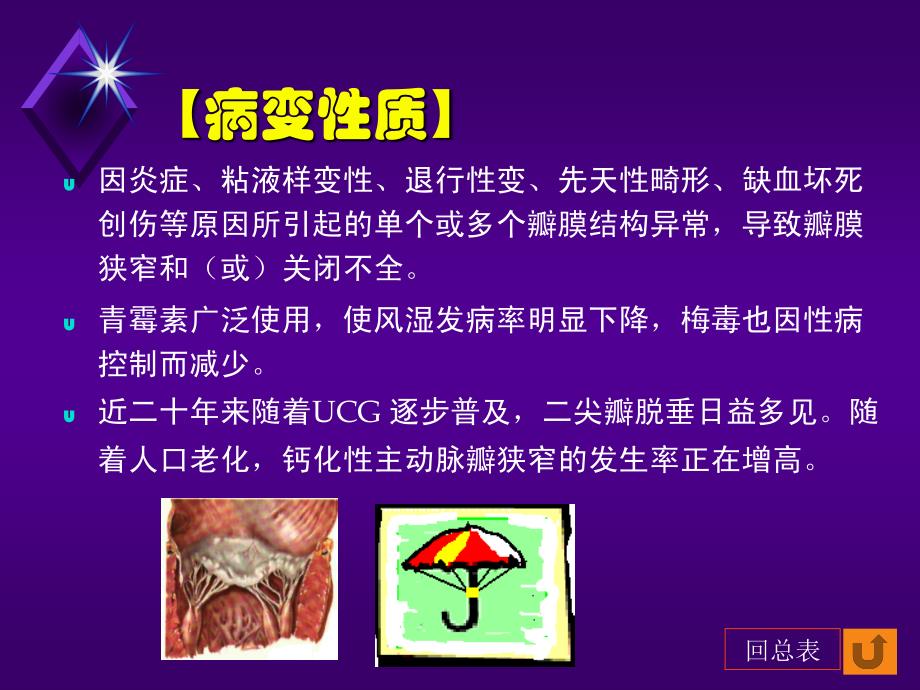 最全心脏瓣膜病课件.ppt_第2页