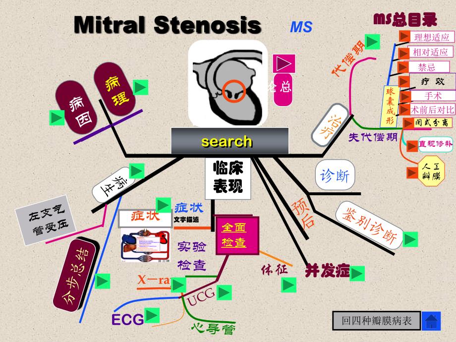 最全心脏瓣膜病课件.ppt_第4页