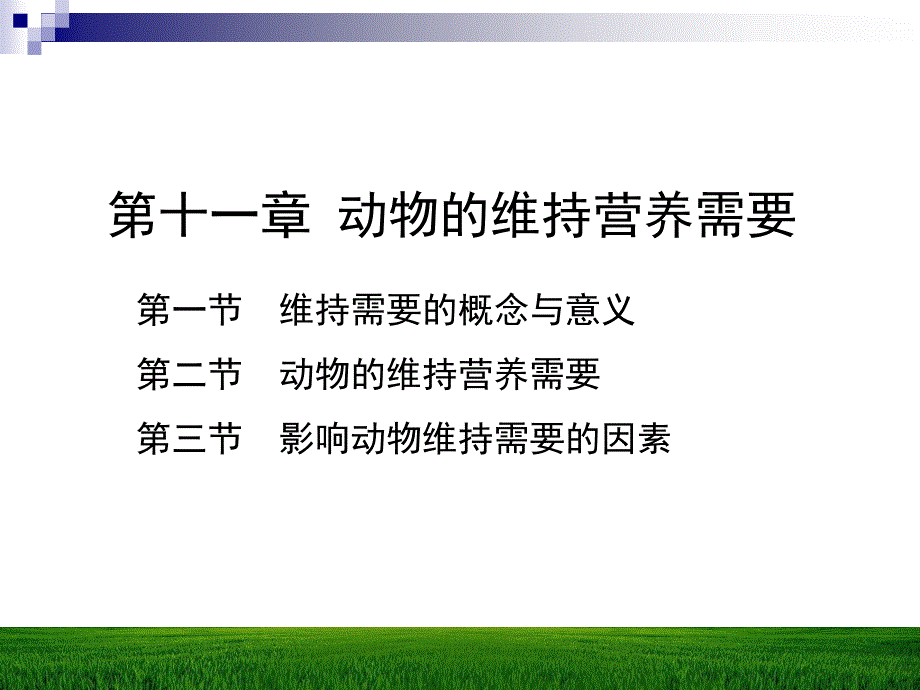 动物营养学课件：动物的维持营养需要_第1页