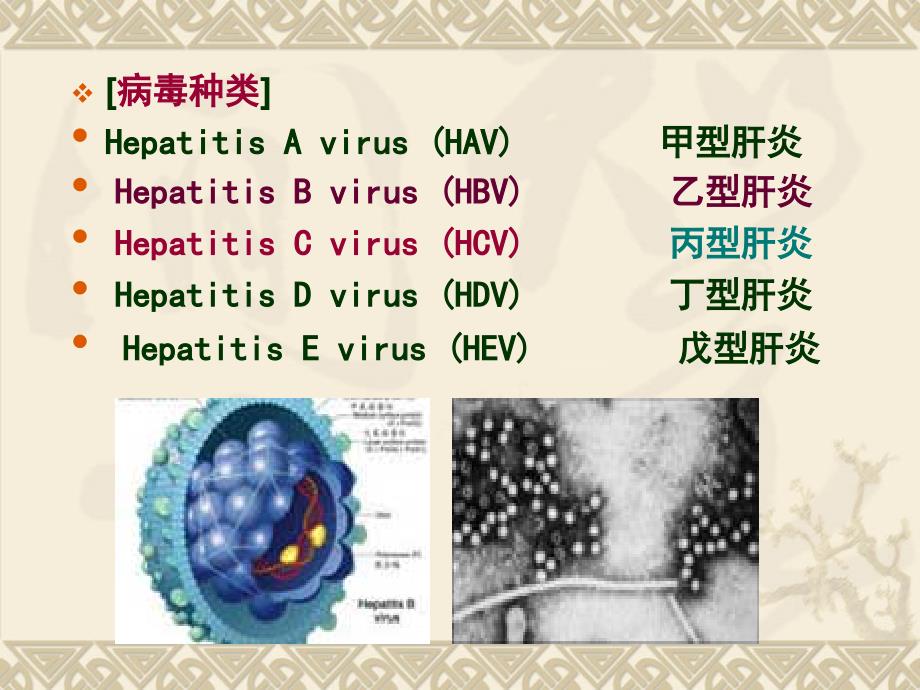 病毒性肝炎课件_第3页