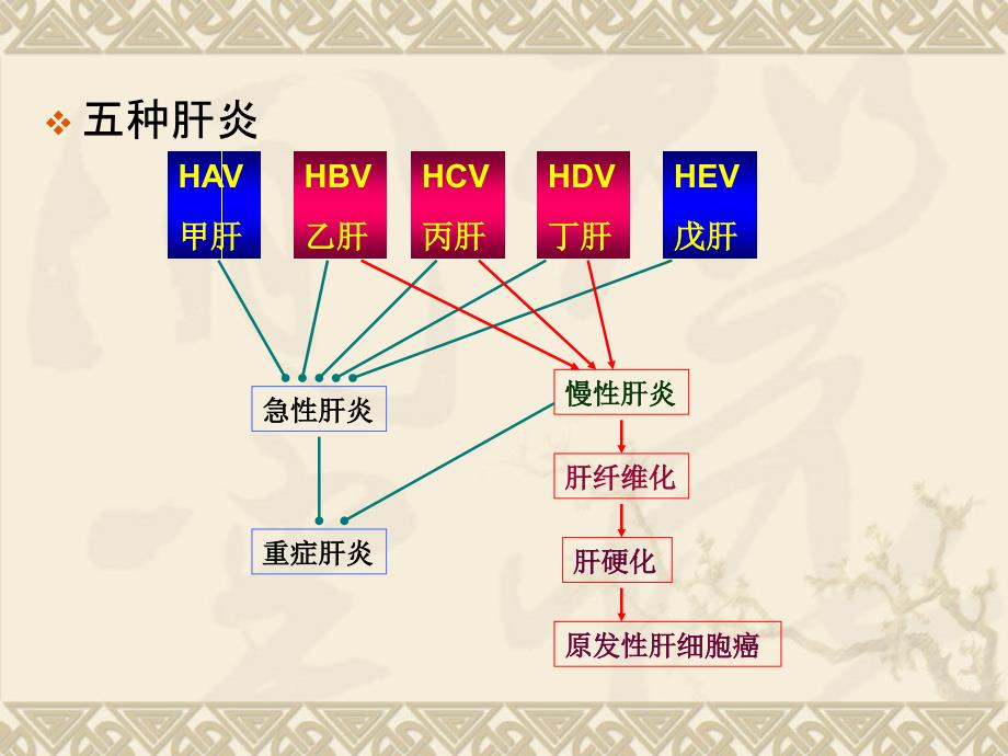 病毒性肝炎课件_第4页