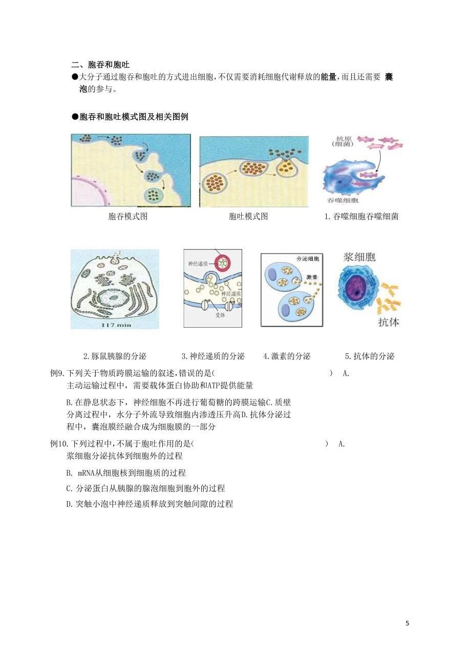 高中生物总复习第4章细胞的物质输入和输出第2讲物质跨膜运输的方式讲义新人教版必修1_第5页