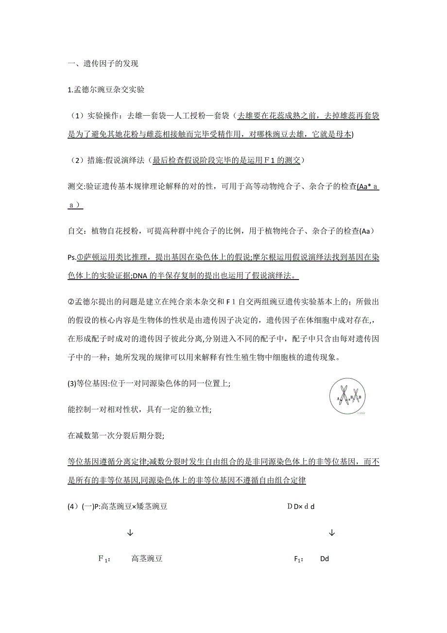 高一必修二生物期中复习资料_第1页