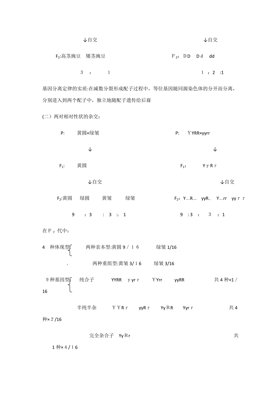 高一必修二生物期中复习资料_第2页