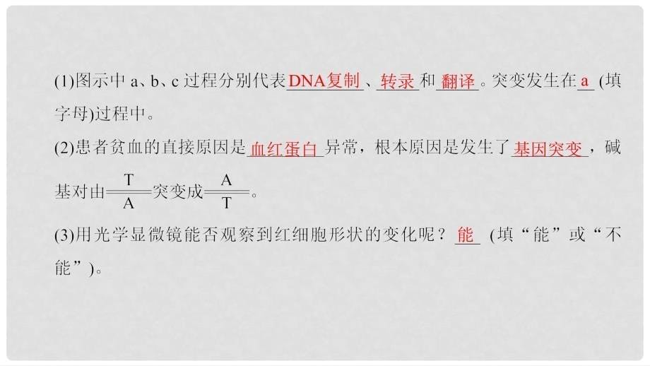 高考生物一轮复习 第7单元 生物的变异、育种和进化 第1讲 基因突变和基因重组课件_第5页